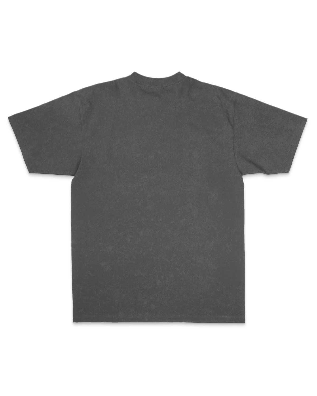 Excellence Oversized Vintage Tee